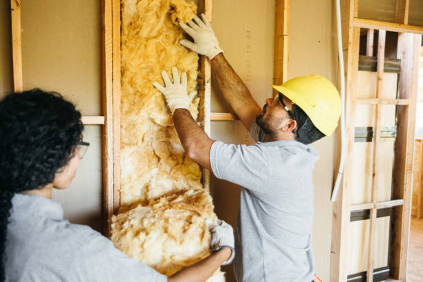 Best Commercial Insulation Services  in Chattanoo Valley, GA